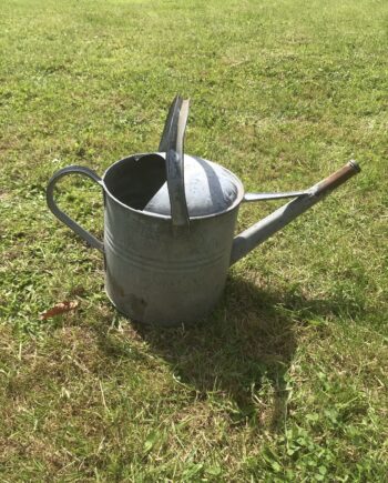 Galvanised watering can