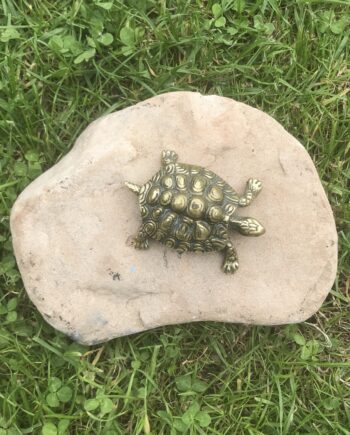 Little Brass Tortoise