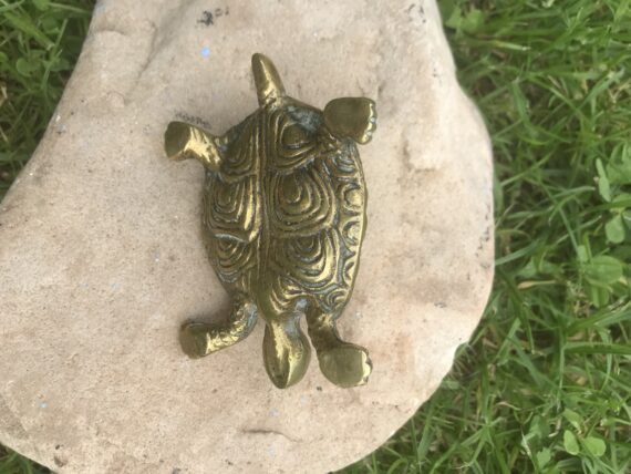 EE0A024A-1EDC-4394-A3E5-415ED78E13A7