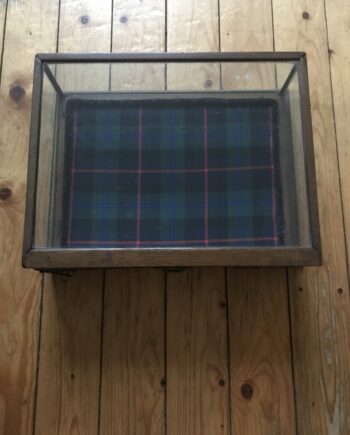 Antique Glass Display Cabinet