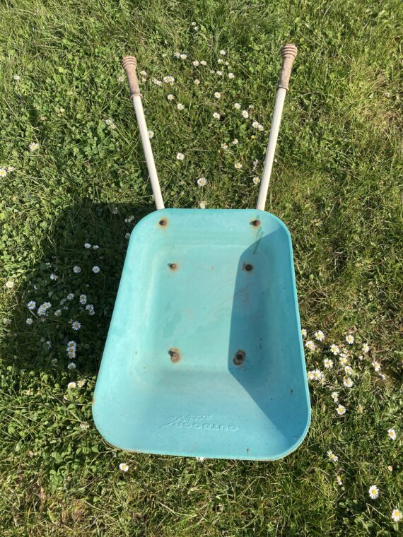 EEE46AE1-6714-4166-86D6-D9C1847F9046