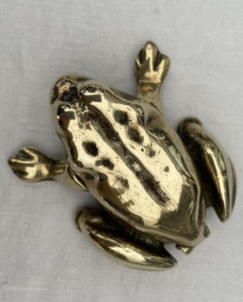 Brass Frog Box
